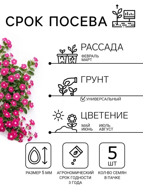 Семена цветов Катарантус ампельный &laquo;Медитерранен розовый&raquo;, 5 шт.