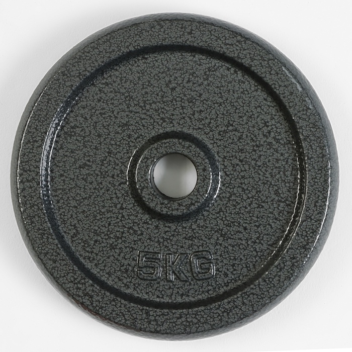 Диск  5  кг, d=29 мм Диск  5  кг, d=29 мм