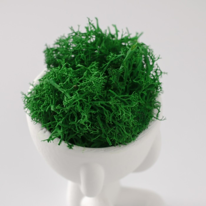 Стабилизированный мох в кашпо из бетона «Мистер Грин Мидзару», мини, 5.5×6.5×6.5 см, белый Стабилизированный мох в кашпо из бетона «Мистер Грин Мидзару», мини, 5.5×6.5×6.5 см, белый