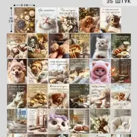 Открытки - мини в коробке со скрепками &laquo;Котики&raquo;, набор 35 шт., 8&times;10 см