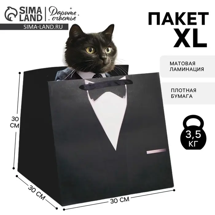 Пакет подарочный квадратный, упаковка, &laquo;Костюм&raquo;, 30&times;30&times;30 см
