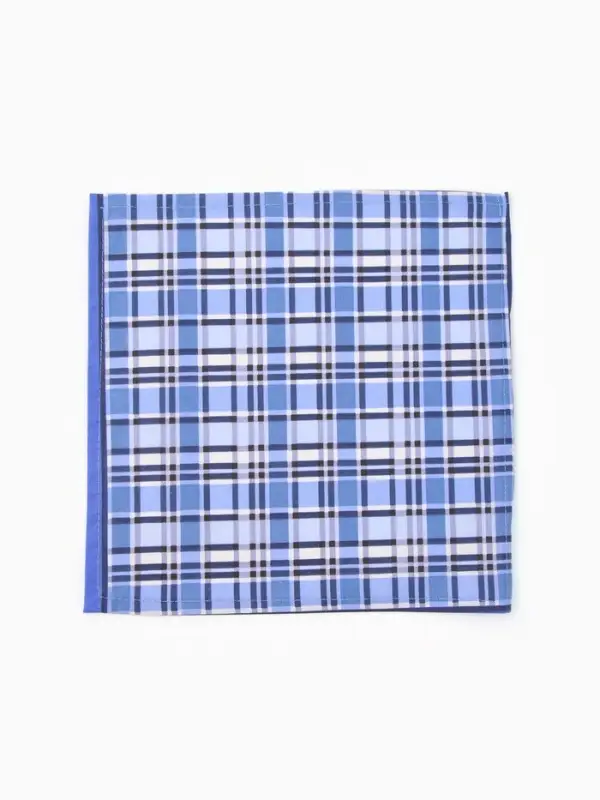 Платки носовые мужские Этель 30*30 см,(набор 12 шт,) цв. синий, рис. МИКС, 100% хл