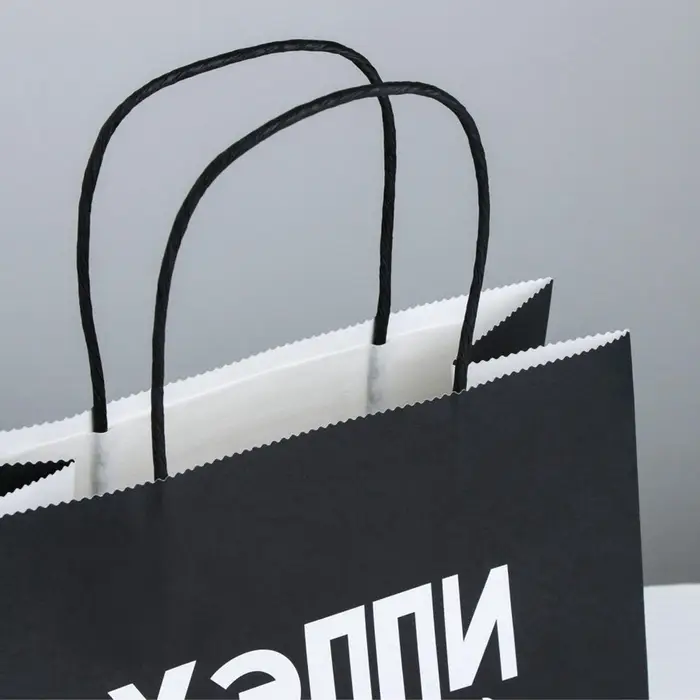 Пакет подарочный крафт &laquo;Хэппи пёздей&raquo;, 22&times;22&times;11 см