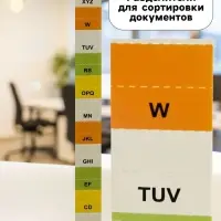 Папка для бумаги А4 пластиковая Calligrata, 12 отделений, бежевая