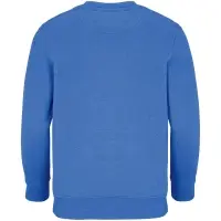 Свитшот детский Columbia Kids, ярко-синий (royal), на рост96-104