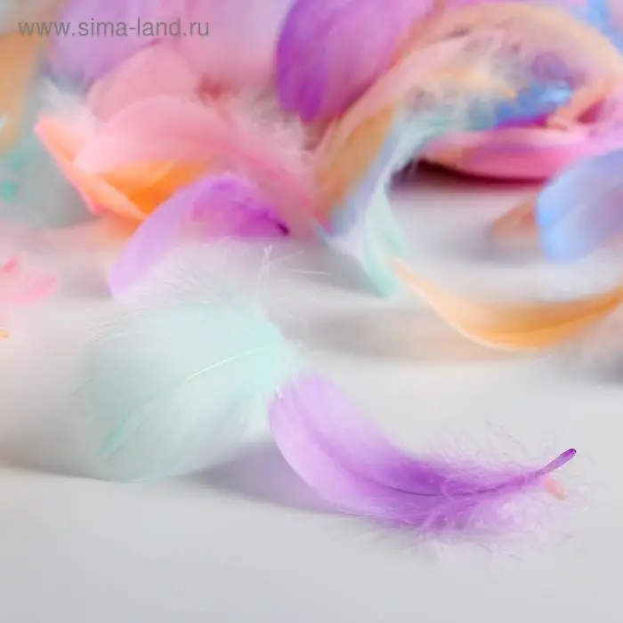 Наполнитель из перьев для шаров и подарков, упаковка, «Радости!» , 15 х 11 см Наполнитель из перьев для шаров и подарков, упаковка, «Радости!» , 15 х 11 см