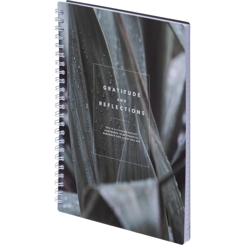 Бизнес-тетрадь, BS, А5, 80л., клетка, спираль. Botanica, агава N4185