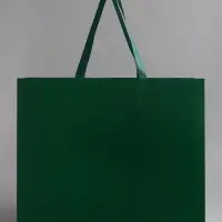 Пакет подарочный ламинированный горизонтальный &laquo;Изумрудный&raquo;, 48&times;39&times;16 см