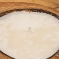 Свеча в кокосе, 18×22×7 см, коричневая