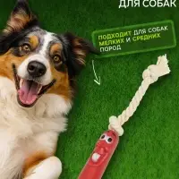 Игрушка для собак &laquo;Весёлая сосиска на верёвке&raquo;, 14 см