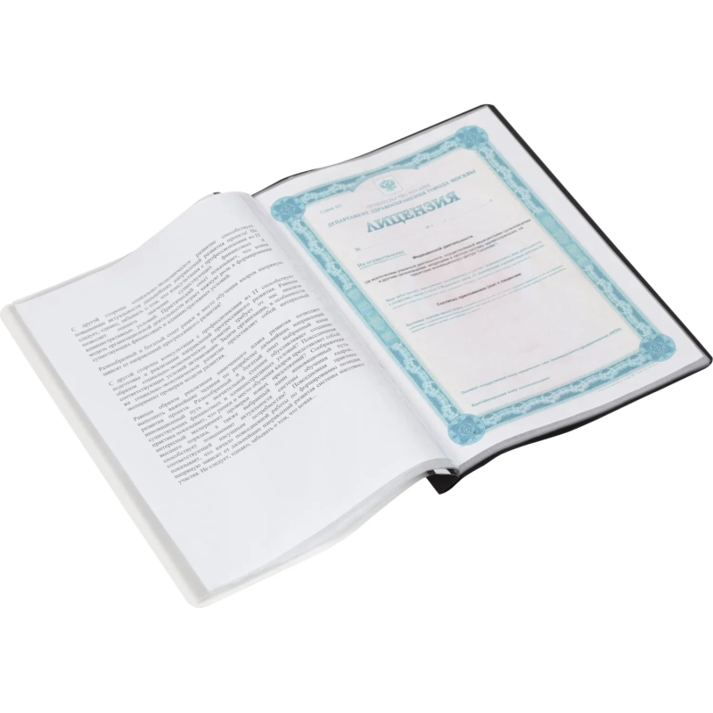 Папка файловая на 30 файлов A4, 160мкм, черная