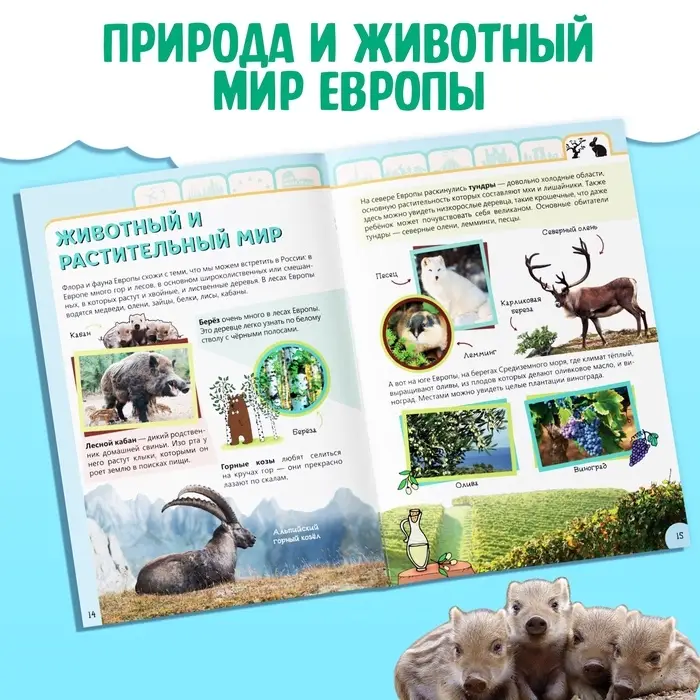 Энциклопедия детская «Европа», 16 стр., 5+ Энциклопедия детская «Европа», 16 стр., 5+