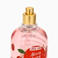 Мист парфюмированный для тела, аромат: рождественская вишня, 200 мл, URAL LAB