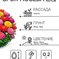 Семена цветов Цинния &laquo;Калифорнийские гиганты&raquo;, смесь, 0.2 г, &laquo;Рецепты дедушки Никиты&raquo;