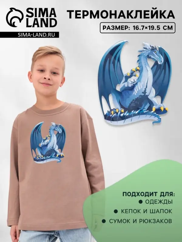 Термонаклейка &laquo;Дракон&raquo;, 16.7&times;19.5 см,