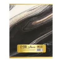 Набор предметных тетрадей Calligrata &laquo;Мрамор тёмный&raquo;, 10 предметов, 48 листов, со справочным материалом, обложка из мелованного картона