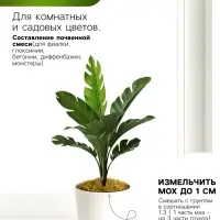 Мох сфагнум &laquo;Рецепты Дедушки Никиты&raquo; 5 л.