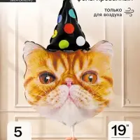 Воздушный шар фольгированный 19" &laquo;Кот в колпаке Перс&raquo; набор 5 штук