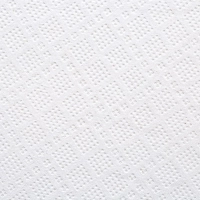 Полотенца бумажные д/держ.FOCUS Jumbo с ЦВ 2сл.125м 6рул 5036772