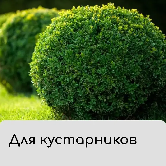 Чехол для растений, на завязках, 60 × 56 см, спанбонд с УФ-стабилизатором, плотность 60 г/м², МИКС Чехол для растений, на завязках, 60 × 56 см, спанбонд с УФ-стабилизатором, плотность 60 г/м², МИКС