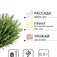 Семена Розмарин &laquo;Ароматный&raquo;, 0.03 г, &laquo;Семена Алтая&raquo;