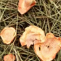 Сено луговое «Зверьё Моё», отборное, ароматное, зеленое, без пыли яблоко, морковь, 500 г Сено луговое «Зверьё Моё», отборное, ароматное, зеленое, без пыли яблоко, морковь, 500 г