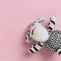 VETTA Игрушка для домашних животных, хлопок, ПЭ, 11,5х6 см