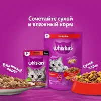 Сухой корм Whiskas для кошек, курица/индейка паштет, подушечки, 13.8 кг