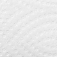 Полотенца бумажные д/дисп. Luscan Professional Z слож2сл190л20пач/уп