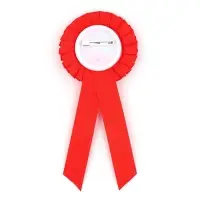 Значок - орден на выпускной «Выпускник детского сада», d=6.7 см