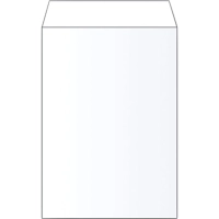 Пакет в упаковке Белый С4стрип Businesspack229х324 120г 200шт/уп/4853