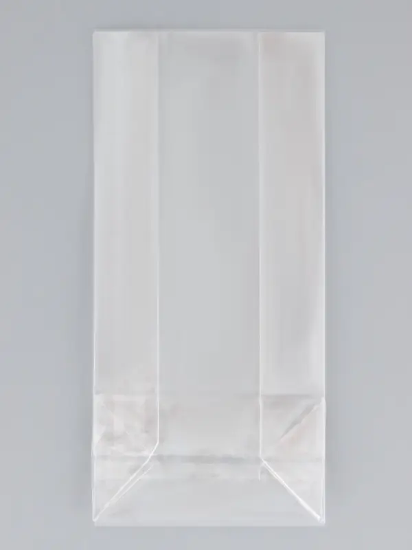 Пакет полипропиленовый фасовочный, прямоугольное дно, прозрачный, 9&times;5&times;19 см