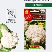 Семена Капуста цветная &laquo;Ранняя Грибовская 1355&raquo;, 0.2 г, &laquo;Аэлита&raquo;