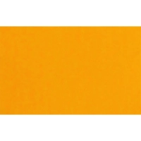 Этикет-лента 26х16 оранж прям 1000шт/рул 10рул/уп