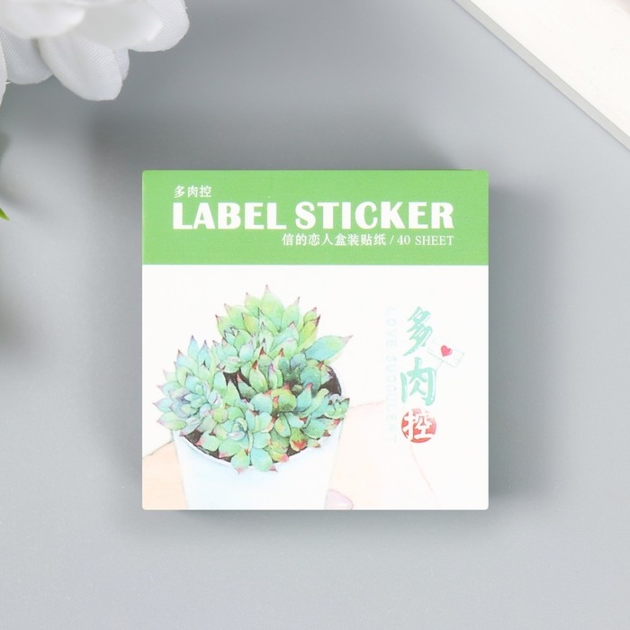 Набор наклеек Набор наклеек "Суккуленты" 40 шт в коробочке 3,8х3,8 см
