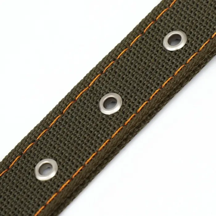 Ошейник брезентовый двухслойный, 72&times;3.5 см, ОШ 45-60 см, хаки
