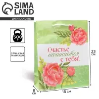 Пакет подарочный ламинированный, упаковка, &laquo;Счастье начинается с тебя&raquo;, MS 18&times;23&times;8 см
