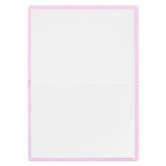 Папка для свидетельства о рождении «Нашей принцессы», А5. Папка для свидетельства о рождении «Нашей принцессы», А5.