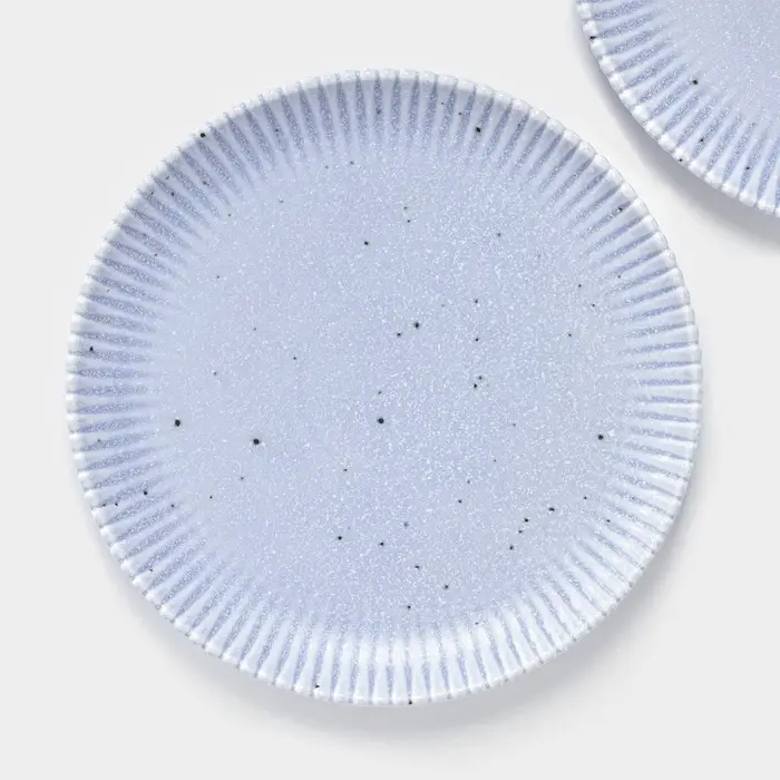 Тарелки Доляна &laquo;Коралл&raquo;, d=25.9 см, набор 2 шт., фарфор, голубые