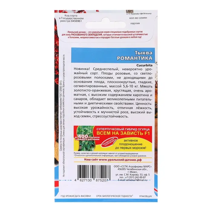 Семена Тыква Семена Тыква "Романтика - крупноплодная", 6 шт