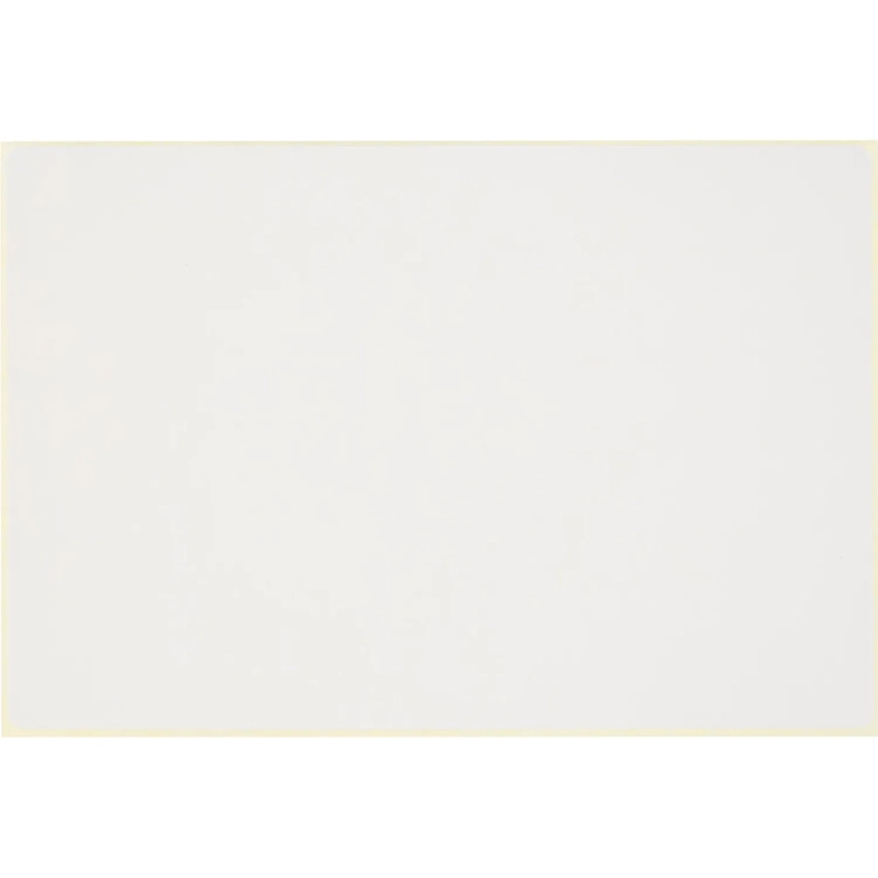 Термотрансферные этикетки ПГЛ 100х150, 1000  шт/рул, вт.76, 4 рул/уп