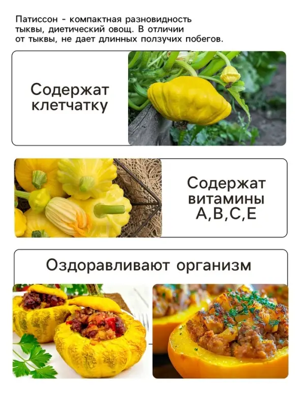 Семена Патиссон  Семена Патиссон "Солнышко", 0,5 г