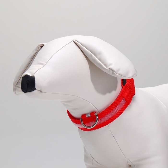 Ошейник с подсветкой размер S, ОШ 35-43 х 2,5 см, 3 режима свечения красный Ошейник с подсветкой размер S, ОШ 35-43 х 2,5 см, 3 режима свечения красный