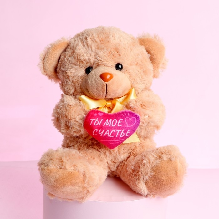 Мягкая игрушка «Ты - моё счастье», медведь, 22 см, МИКС Мягкая игрушка «Ты - моё счастье», медведь, 22 см, МИКС