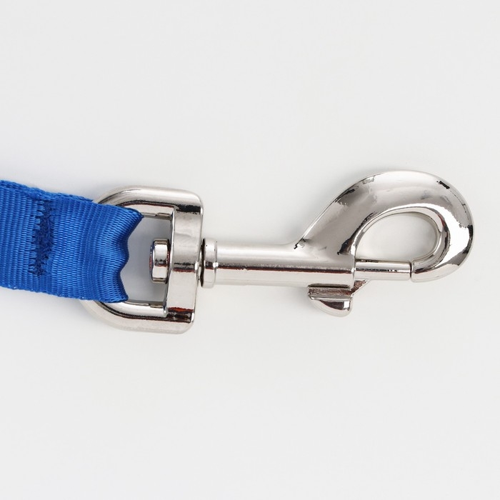 Рулетка Рулетка "Пижон" светоотражающая, 8 м, до 50 кг, трос, прорезиненная ручка, голубая