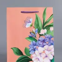 Пакет подарочный ламинированный &laquo;Цветы эмоций&raquo;, персиковый, 18&times;22.3&times;10 см