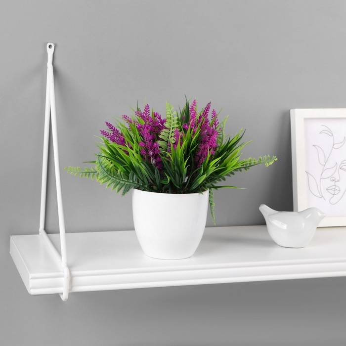 Бонсай в горшке Бонсай в горшке "Лаванда галант" 11х14 см, микс