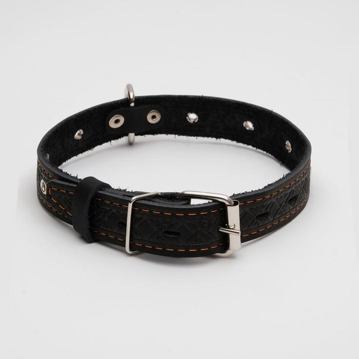 Ошейник кожаный тисненый однослойный, безразмерный, 3 х 60 см, ОШ 42-55 см, микс цветов Ошейник кожаный тисненый однослойный, безразмерный, 3 х 60 см, ОШ 42-55 см, микс цветов