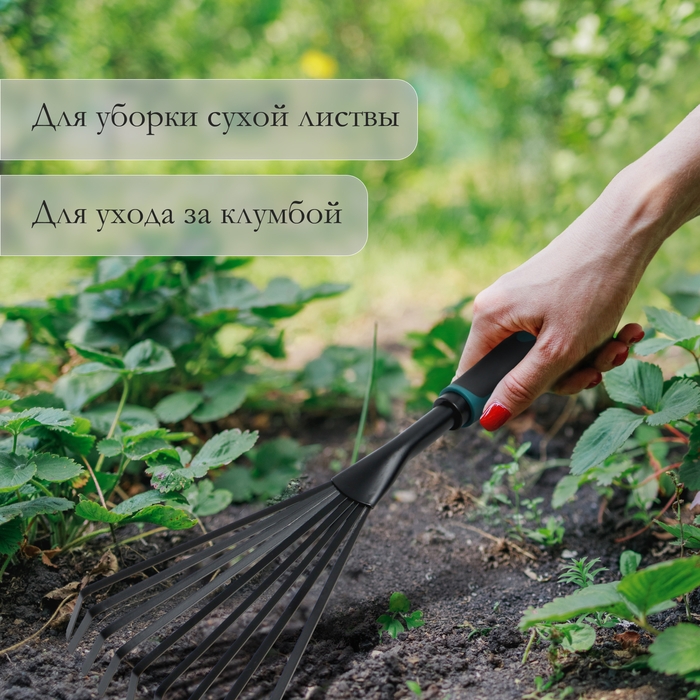 Грабли малые, веерные, пластинчатые, 9 зубцов, длина 40 см, эргономичная прорезиненная ручка, Greengo Грабли малые, веерные, пластинчатые, 9 зубцов, длина 40 см, эргономичная прорезиненная ручка, Greengo