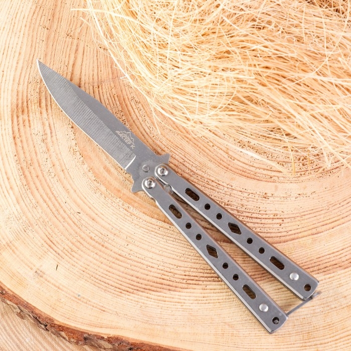 Нож-бабочка Нож-бабочка "Аргус" 17см, клинок 69мм/1мм, серебристый